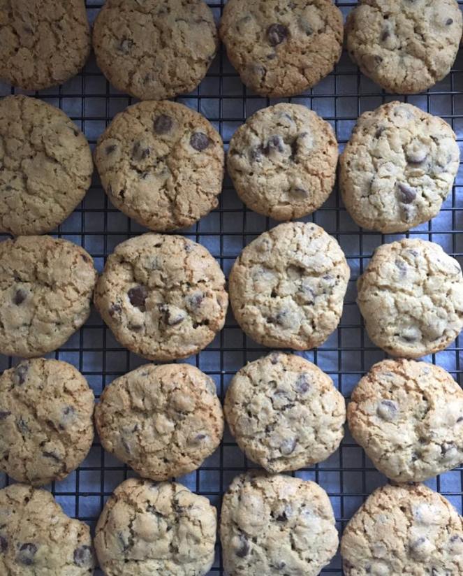 happy-camper-cookies-oct-2016